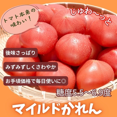 大玉トマト【フルーツトマト】22.5キロ 　A品と程度のいい規格外　サイズバラ 訳あり大玉トマト5キロ | デリシャスファーム